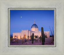Load image into Gallery viewer, Tucson Cactus Morning
