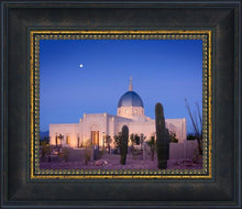 Load image into Gallery viewer, Tucson Cactus Morning
