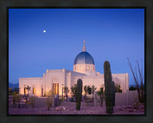 Load image into Gallery viewer, Tucson Cactus Morning
