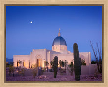 Load image into Gallery viewer, Tucson Cactus Morning
