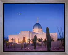 Load image into Gallery viewer, Tucson Cactus Morning
