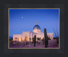 Load image into Gallery viewer, Tucson Cactus Morning
