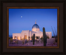 Load image into Gallery viewer, Tucson Cactus Morning
