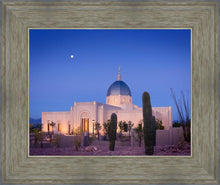 Load image into Gallery viewer, Tucson Cactus Morning
