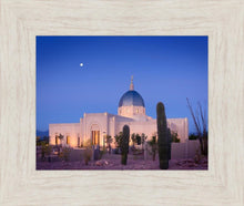 Load image into Gallery viewer, Tucson Cactus Morning
