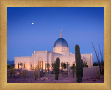Load image into Gallery viewer, Tucson Cactus Morning
