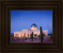 Load image into Gallery viewer, Tucson Cactus Morning
