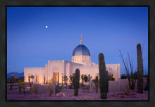 Load image into Gallery viewer, Tucson Cactus Morning
