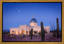 Load image into Gallery viewer, Tucson Cactus Morning
