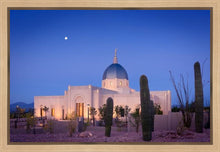 Load image into Gallery viewer, Tucson Cactus Morning
