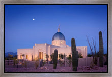 Load image into Gallery viewer, Tucson Cactus Morning
