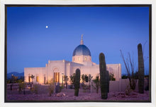 Load image into Gallery viewer, Tucson Cactus Morning
