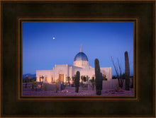 Load image into Gallery viewer, Tucson Cactus Morning
