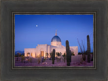 Load image into Gallery viewer, Tucson Cactus Morning
