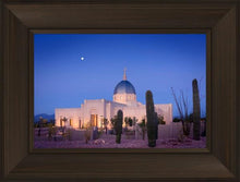Load image into Gallery viewer, Tucson Cactus Morning
