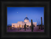 Load image into Gallery viewer, Tucson Cactus Morning
