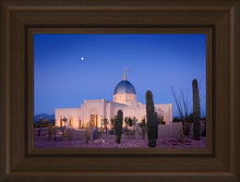Load image into Gallery viewer, Tucson Cactus Morning
