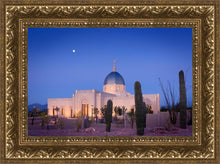 Load image into Gallery viewer, Tucson Cactus Morning
