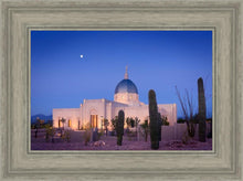 Load image into Gallery viewer, Tucson Cactus Morning
