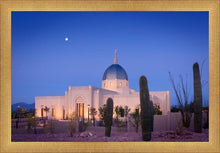 Load image into Gallery viewer, Tucson Cactus Morning
