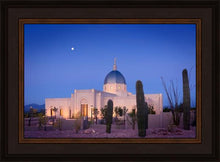Load image into Gallery viewer, Tucson Cactus Morning
