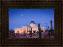 Load image into Gallery viewer, Tucson Cactus Morning
