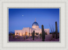 Load image into Gallery viewer, Tucson Cactus Morning
