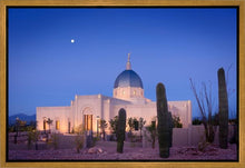 Load image into Gallery viewer, Tucson Cactus Morning
