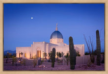 Load image into Gallery viewer, Tucson Cactus Morning
