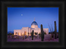 Load image into Gallery viewer, Tucson Cactus Morning
