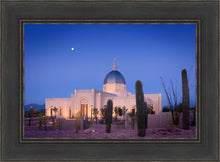 Load image into Gallery viewer, Tucson Cactus Morning
