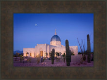 Load image into Gallery viewer, Tucson Cactus Morning
