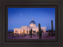Load image into Gallery viewer, Tucson Cactus Morning
