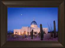 Load image into Gallery viewer, Tucson Cactus Morning
