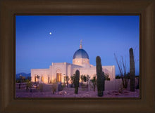 Load image into Gallery viewer, Tucson Cactus Morning
