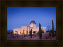 Load image into Gallery viewer, Tucson Cactus Morning
