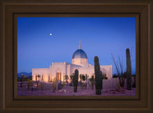 Load image into Gallery viewer, Tucson Cactus Morning
