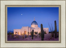 Load image into Gallery viewer, Tucson Cactus Morning
