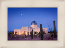 Load image into Gallery viewer, Tucson Cactus Morning
