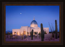 Load image into Gallery viewer, Tucson Cactus Morning

