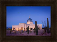 Load image into Gallery viewer, Tucson Cactus Morning
