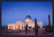 Load image into Gallery viewer, Tucson Cactus Morning
