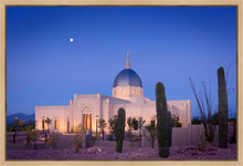 Load image into Gallery viewer, Tucson Cactus Morning
