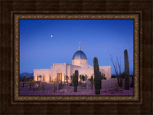Load image into Gallery viewer, Tucson Cactus Morning
