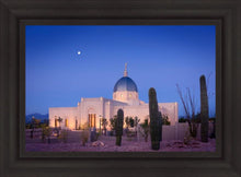 Load image into Gallery viewer, Tucson Cactus Morning
