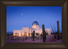 Load image into Gallery viewer, Tucson Cactus Morning
