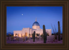 Load image into Gallery viewer, Tucson Cactus Morning
