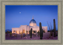 Load image into Gallery viewer, Tucson Cactus Morning
