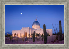 Load image into Gallery viewer, Tucson Cactus Morning
