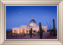 Load image into Gallery viewer, Tucson Cactus Morning
